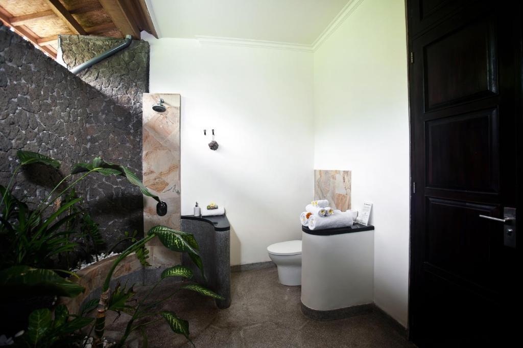 Villa Teman Lovina Exteriér fotografie